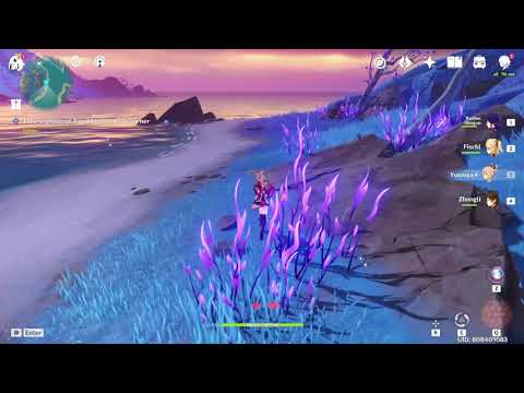 How to get Spectral Husk Genshin Impact