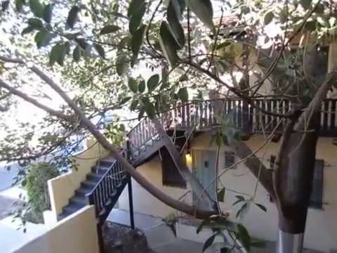 PL7336 - Charming 1 Bed + 1 Bath Apartment for Rent (Larchmont)