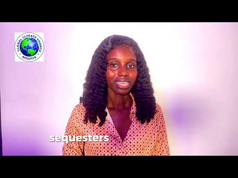 Sustainable Agriculture: Farming for a Greener Future