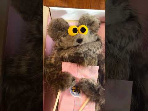 Phoenix is ready, are you? #puppet #packwithme