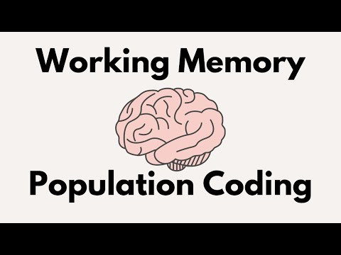 Working Memory and Population Coding: Evidence from Neuroscience and Psychology