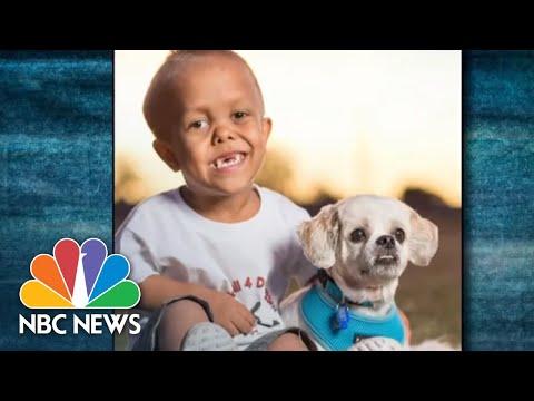 download lagu mp3 mp4 9, download lagu 9 gratis, unduh video klip 9