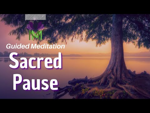 Come into Stillness: Meditation for Peace and Stress Relief | Mindful Movement