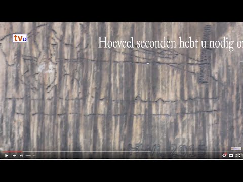 RAAD-VIDEO Lemelerveld [5] - Een echte Lemelervelder weet het zo... Toch?