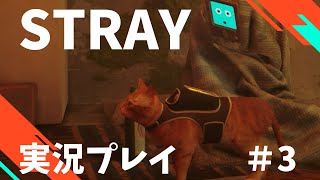 【Stray】へっぽこ迷い猫オーバーラン！　#3