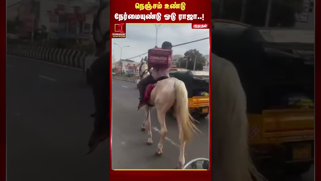 ஈ.சி.ஆர் சாலையில் குதிரையில் சென்று உணவு டெலிவிரி செய்த நபர் | Kumudam News ஈ.சி.ஆர் சாலையில் குதிரையில் சென்று உணவு டெலிவிரி செய்த நபர் | Kumudam News