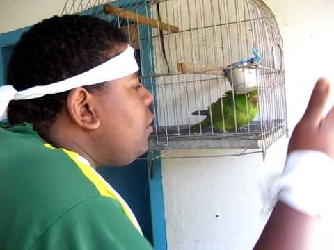 Ombro Amigo video
