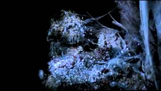 Power glove - The Crypt