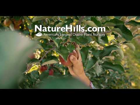 Nature Hills Nursery