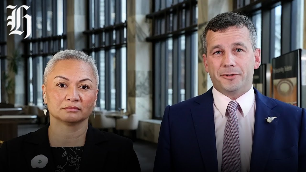 Political Panel: gun laws and Seymour's plan to reignite treaty debate | Herald NOW