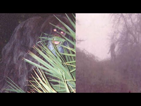 The Scariest Bigfoot Evidence