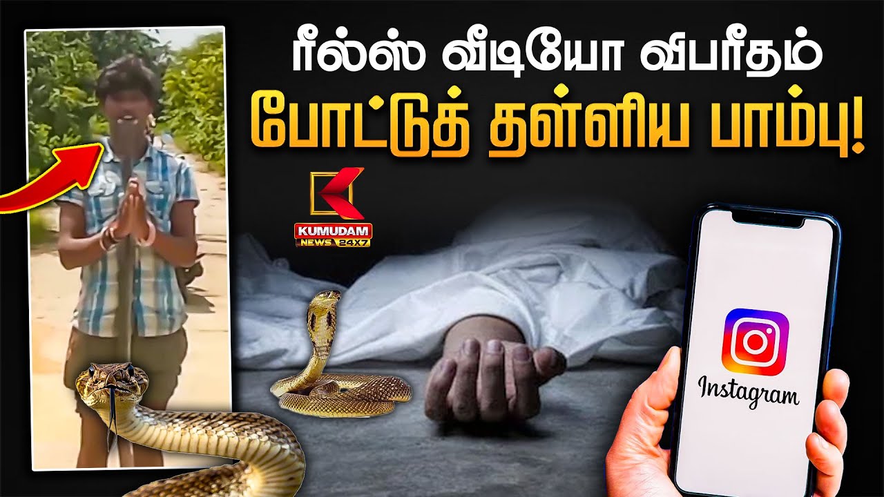 ரீல்ஸ் வீடியோ விபரீதம்.. போட்டுத் தள்ளிய பாம்பு!