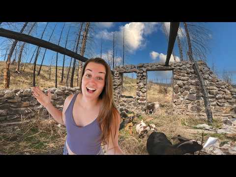 You Won't Believe What We Found On Our New Property! 300 Acre Tour