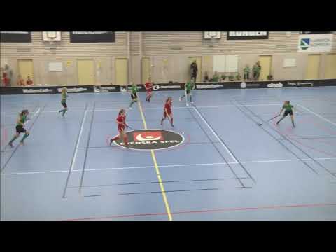 IBF Backadalen - Fristad GoIF