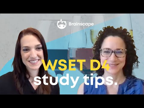 Study tips for the WSET Diploma 4 exam on Sparkling Wine