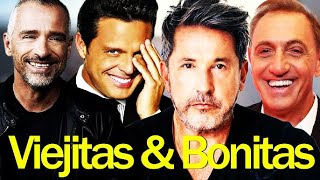 EROS RAMAZZOTTI RICARDO ARJONA CHAYANNE RICARDO MONTANER FRANCO DE VITA BALADAS 80S 🌙 MQDEFAULT Thumbnail
