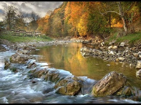 CZERWONE GITARY  MIJA ROK