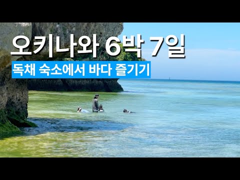 오키나와 가족 여행 지침서: 천국 같은 열대 바다에서의 완벽한 힐링