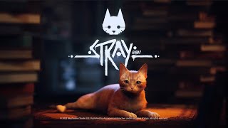 【STRAY】猫になってサイバーパンクな世界を大冒険