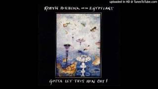 Robyn Hitchcock &amp; the Egyptians - Sometimes I Wish I Was A Pretty Girl