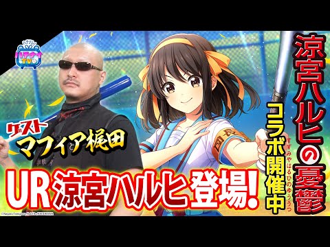 ڥϥʥTV105õܥϥҤͫݵܵǰ SPȤϥޥեĤ