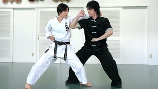 【Bajiquan】Karate woman gets elbow attack from Kung-fu master!