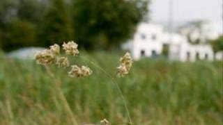 Misschien niet de eeuwigheid