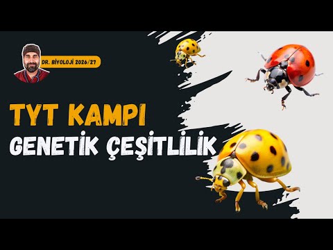 Genetik Çeşitlilik | Dr. Biyoloji | Dönem 2026 - 2027