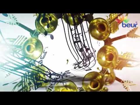 Cours De Mandoline (Si Mi La Ré) N°2 / Do Ré Mi