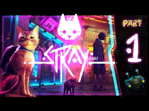 Stray Walkthrough 100% Gameplay Part 1 (PS5) No Commentary