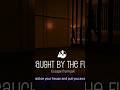 Payback2 caught by the fuzz #payback2tipsandtricks