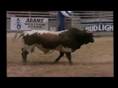 Ty Murray vs Achey Breaky - 94 PBR Finals (81.5 pts)