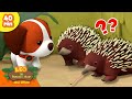 HEWAN INI MAKAN SEMUT Hewan Berduri Leo Si Penjaga Alam Kartun Anak