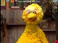 Classic Sesame Street Elmo And Big Bird Big And Small 1986