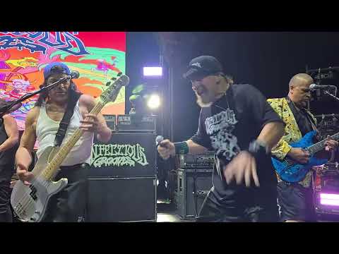 Infectious Grooves "Punk it Up" Live in Garden Grove 8/16/2025 #robtrujillo #california #livemusic 