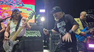 Infectious Grooves "Punk it Up" Live in Garden Grove 8/16/2025 #robtrujillo #california #livemusic 