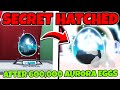 After 600 000 AURORA Eggs I HATCHED A SECRET In Bubble Gum Simulator INFINITY