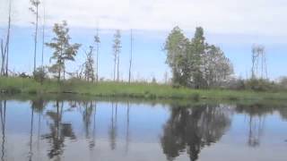 Okefenokee