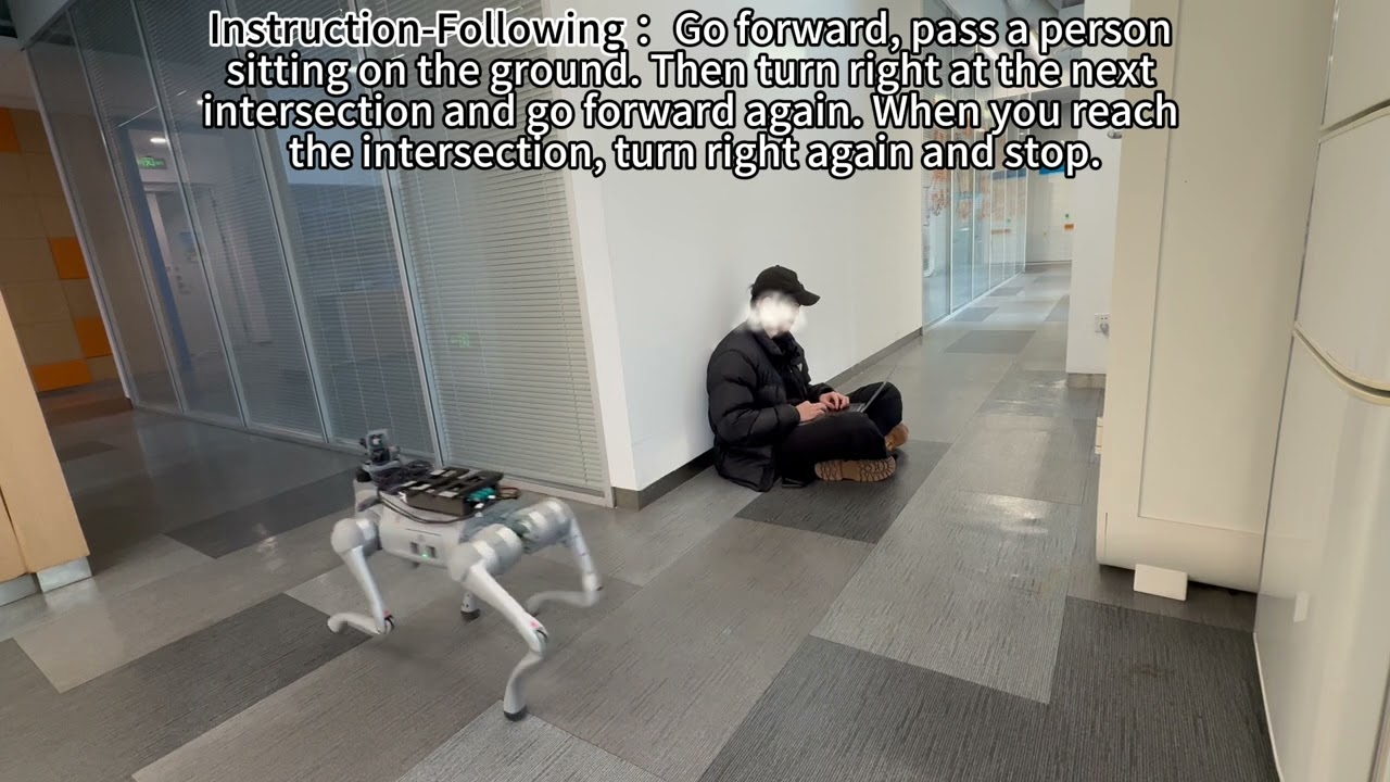 Instruction-Following