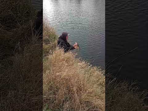 Big Lure For The Ultralight.