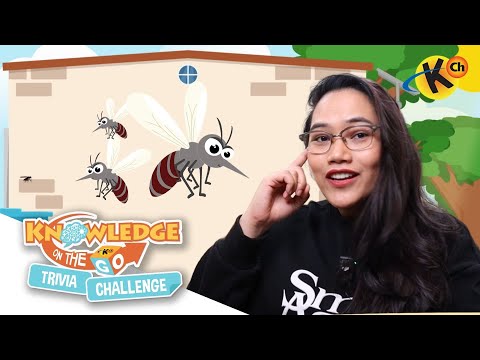 #QuizTime: Dengue Knowledge On the Go Trivia Challenge