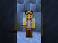 Minecraft S Most UNDERRATED Biome