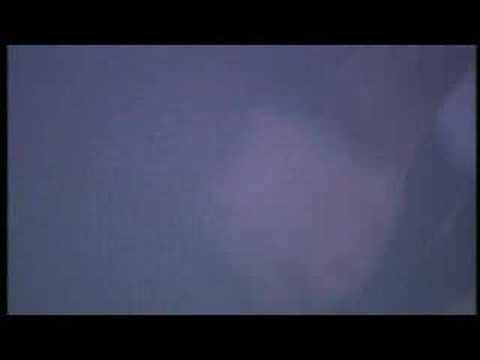 Little Barrie - Free Salute