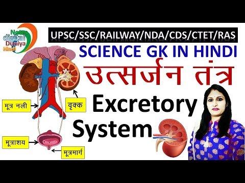 उत्सर्जन तंत्र | Excretory System | Science Gk | Gk in Hindi | SSC | Gk | Science | Gk Hindi Video