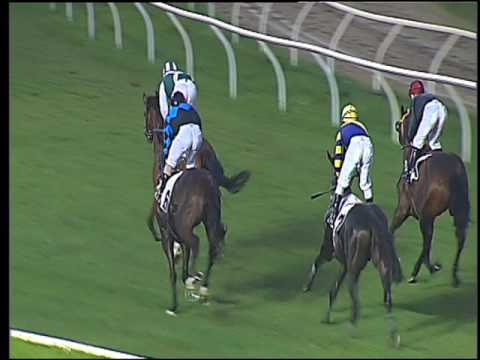 Galoppo 29/07/2016 - 4° corsa