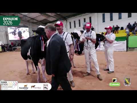 Expoleche 2026 - San Pedro de los Milagros 📍Día 2