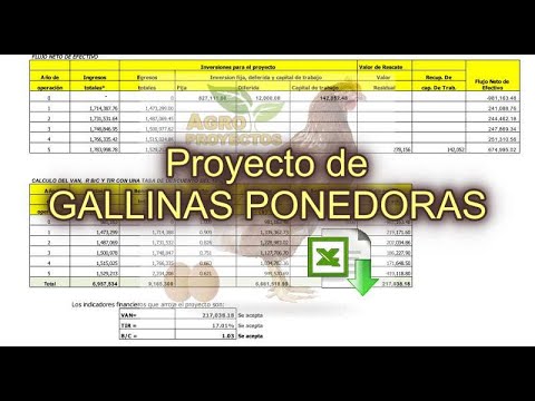 , title : 'GALLINAS PONEDORAS - Corrida Financiera GRATIS - Proyectos Productivos'