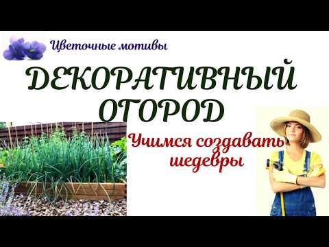 Декоративный огород (французский, дизайнерский, русский): своими руками, легко и просто!