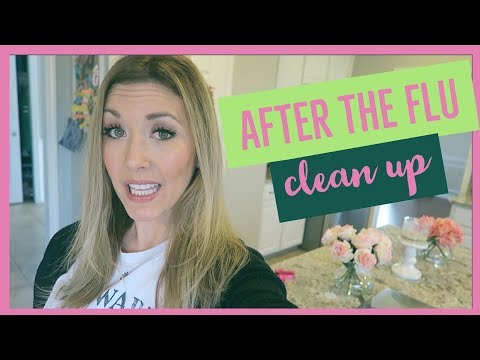 CLEANING MOTIVATION FLU SEASON | winter 2018 Video