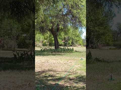 20251123 105231 Las Tapias